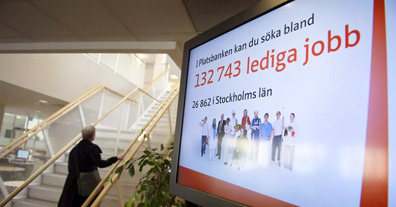Ingenjörer, systemutvecklare, systemanalytiker och IT-arkitekter har lätt att få jobb. Jessica Gow/TT