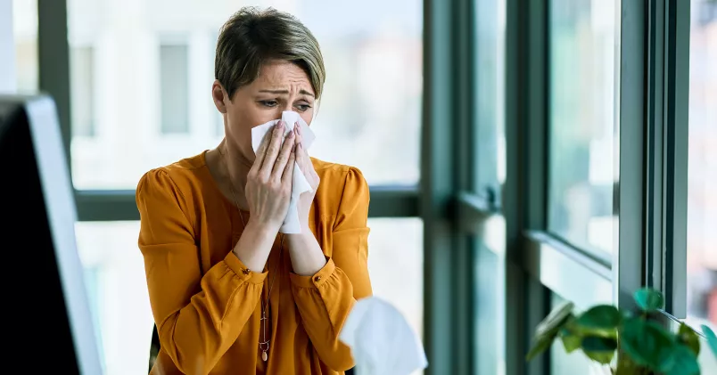 Pollenallergi på jobbet. Kvinna på kontor snyter sig och ser besvärad ut.