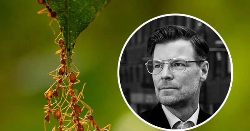 Civilsamhället behöver ges en större plats men för det krävs finansiellt kapital och trygghet, skriver Fremias vd Petter Skogar. Colourbox