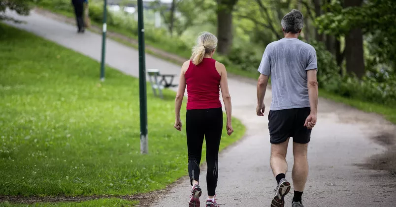Att promenera två och en halv timme i veckan minskar risken för belastningsskador. En kvinna och en man är ute och promenerar i en park.