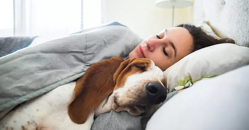 Förutom att skaffa hund är det många hemmajobbare som har börjat sova längre. Shutterstock