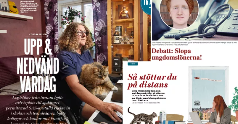 Kollega och Chef & Karriär är nominerade i kategorierna Bästa fotografi, Bästa illustration samt Bästa kommenterande text.