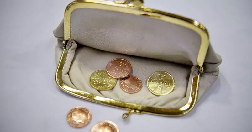 Det finns både för- och nackdelar med en svag krona, enligt Unionens chefsekonom. Jessica Gow/TT